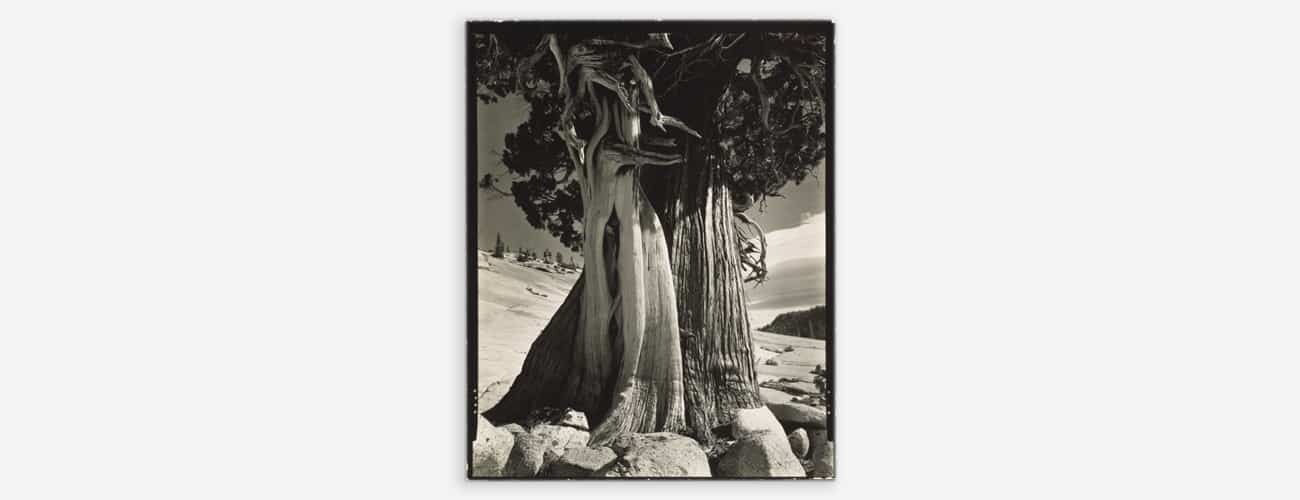Hidden Treasures: American Photography from the Museum’s Collection