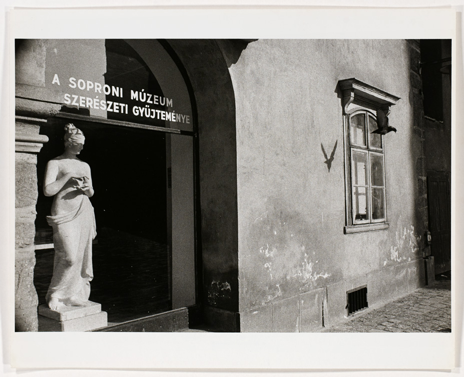 Selections from the Photography Collection