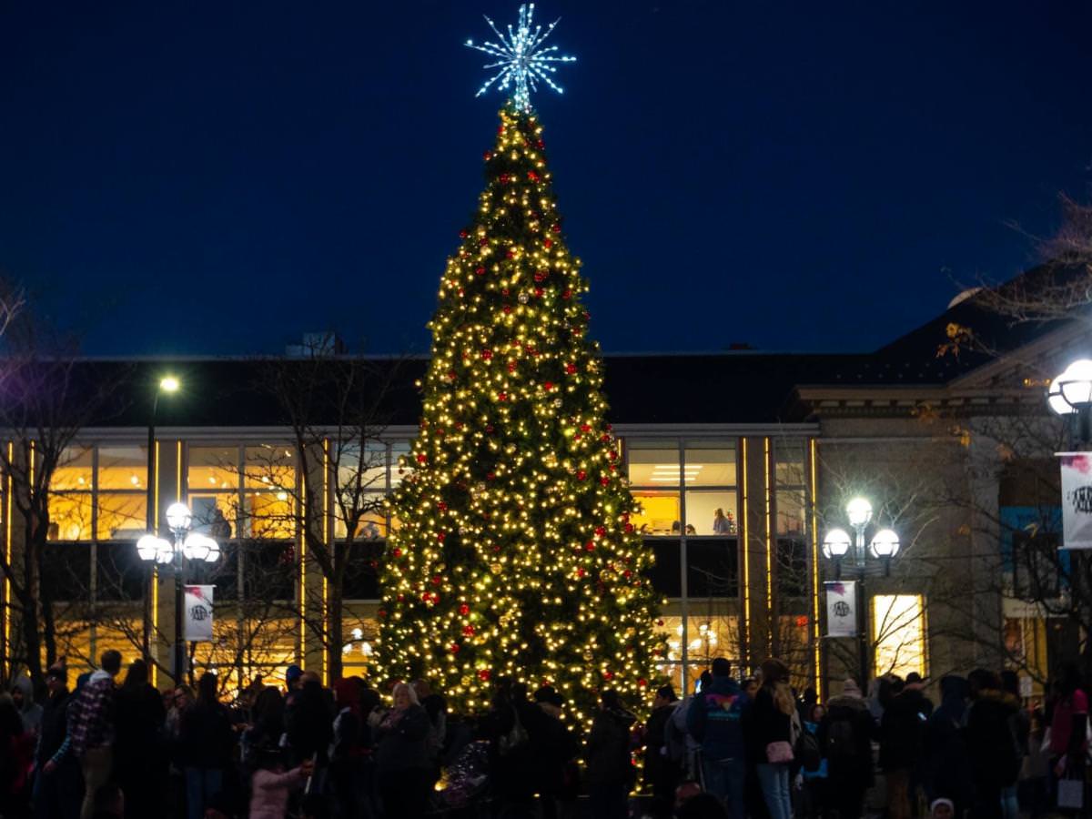 Tree Lighting and Jingle Mingle Allentown Art Museum